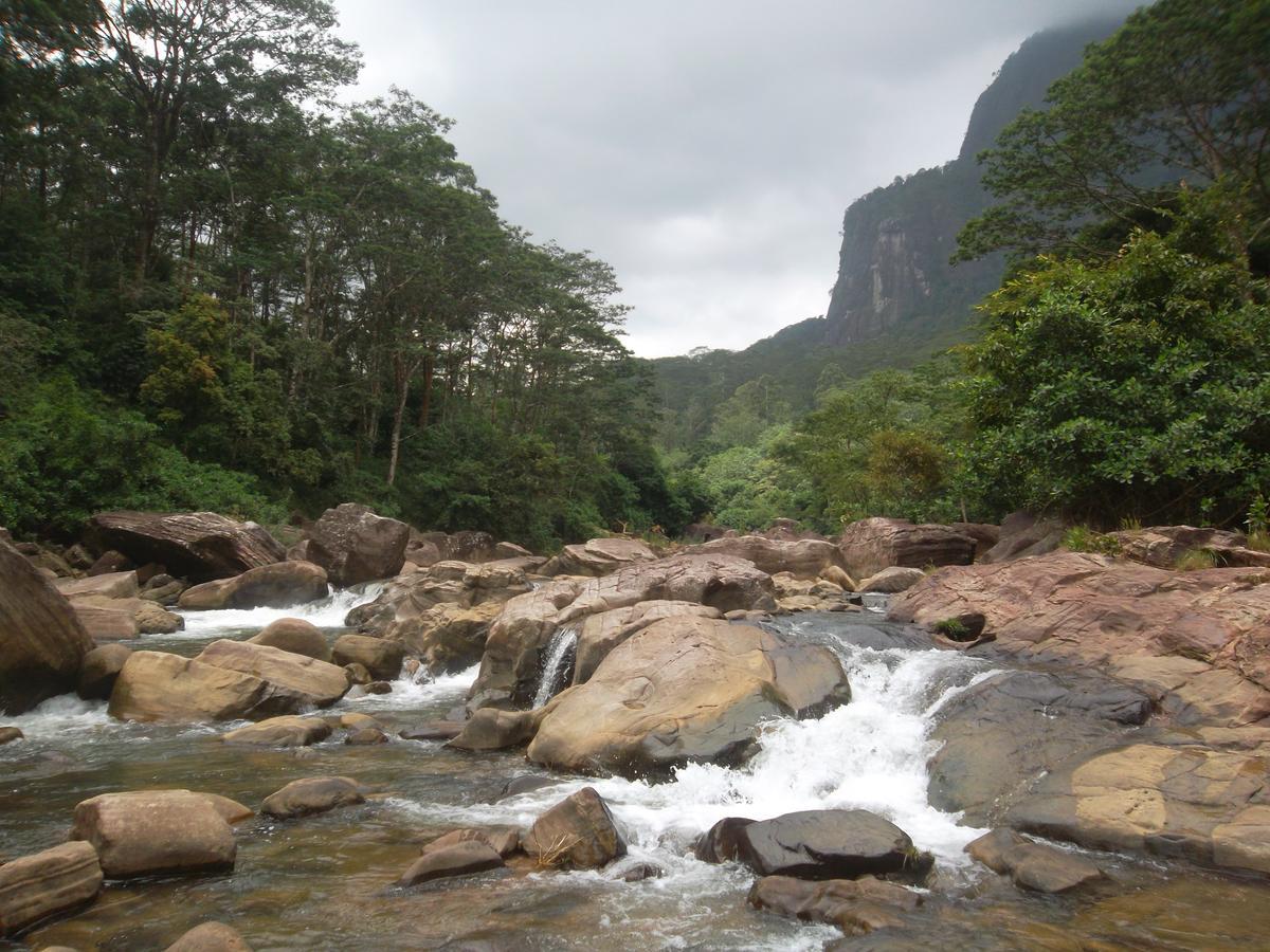 Glass Rooms Accommodations Adam'S Peak Nallathanniya Exterior photo