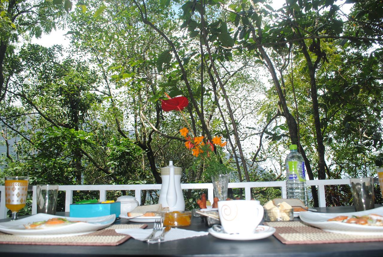 Glass Rooms Accommodations Adam'S Peak Nallathanniya Exterior photo